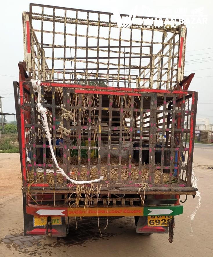 /VehicleWatermarkImages/VB-103667/103667-514202552908AM-WhatsApp Image 2025-05-14 at 5.26.51 PM.jpeg